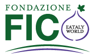 Fondazione Fico